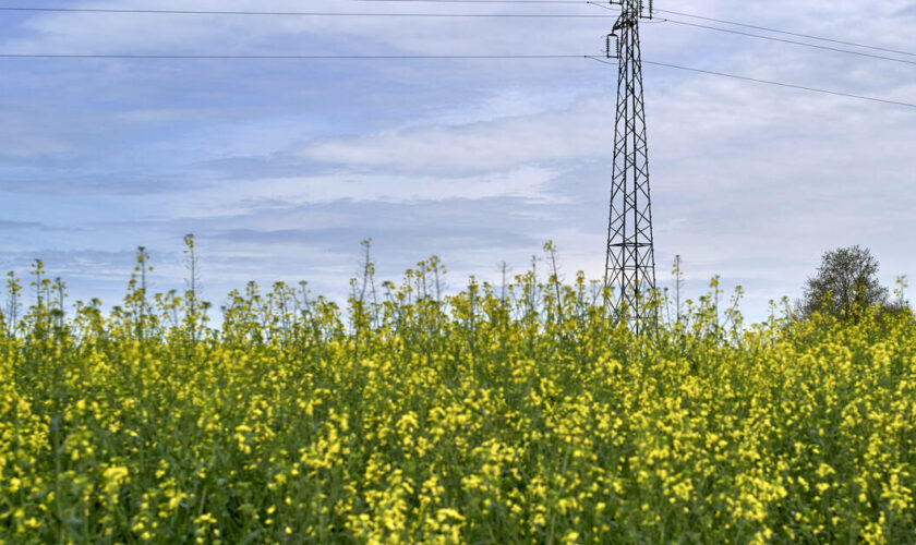 Le tarif de l’électricité se stabilise avant une baisse prévue pour février