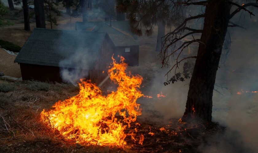 Kalifornien: Feuer bei Los Angeles breiten sich schnell aus und zerstören Häuser