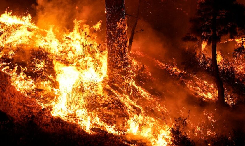 Waldbrände in Kalifornien: Gouverneur ruft Ausnahmezustand in Los Angeles und Vororten aus