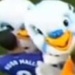 Mallo, on the left of the pic, is seen approaching the mascot at the time of the assault.