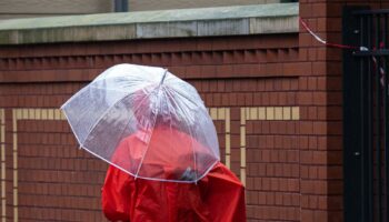 Wetter am Wochenende: Deutscher Wetterdienst warnt vor Sturm, Dauerregen und Schnee