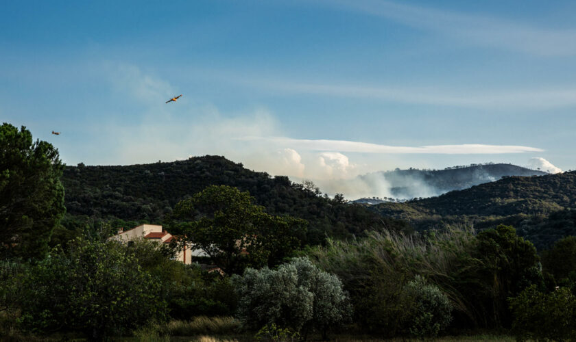 L’incendie près de Castelnou, dans les Pyrénées-Orientales, est désormais fixé