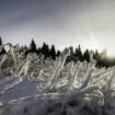 Neige : de premiers flocons en France, les Vosges battent même un record de précocité