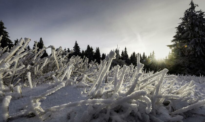 Neige : de premiers flocons en France, les Vosges battent même un record de précocité