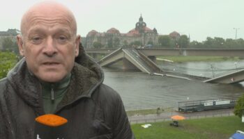 „Elbwiesen werden überflutet sein. Unklar, was passiert, wenn sich Wasser hier staut“