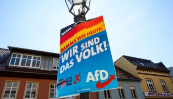 Une affiche électorale du parti d'extrême droite AfD, le 28 août 2019 à Zehdenick, dans le Land allemand de Brandebourg