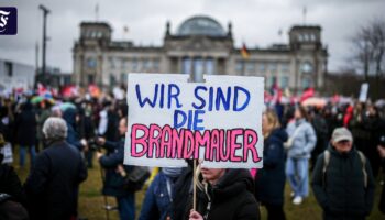 Studie: Brandmauer zu AfD in Kommunen hat Risse, steht aber