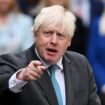 Boris Johnson called Tory MPs ‘chicken s***’ over Dominic Cummings criticism, memoir claims