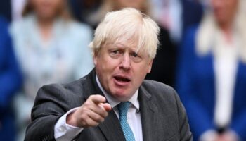 Boris Johnson called Tory MPs ‘chicken s***’ over Dominic Cummings criticism, memoir claims