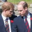 Prince William 'disgruntled' over Prince Harry's $8.5M inheritance payday on 40th birthday: expert