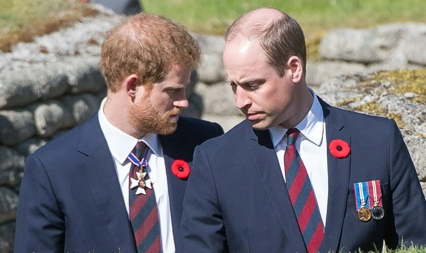 Prince William 'disgruntled' over Prince Harry's $8.5M inheritance payday on 40th birthday: expert