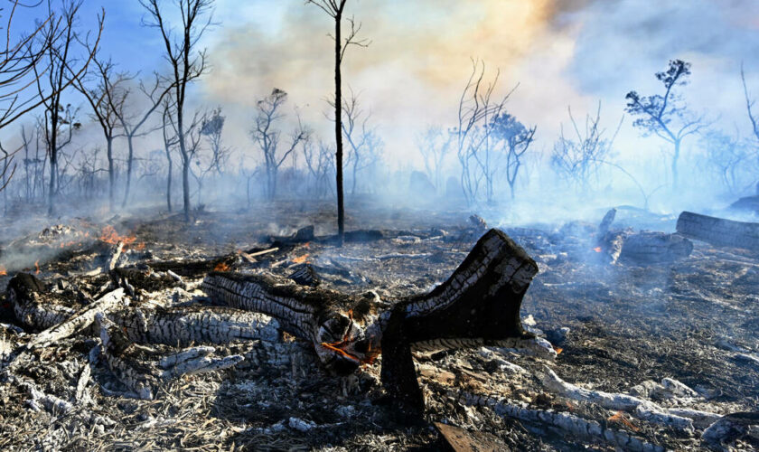 Au Brésil, le parc national de Brasilia touché à son tour par un incendie