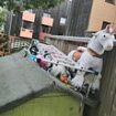 Mother is threatened with legal action by neighbours unless she removes 'eyesore' toy unicorn she stores on top of her shed - who do YOU think is in the right?