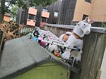 Mother is threatened with legal action by neighbours unless she removes 'eyesore' toy unicorn she stores on top of her shed - who do YOU think is in the right?