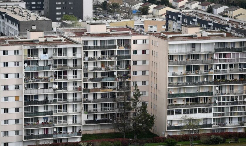 "Davos des banlieues" : "Quand vous venez d'un tel quartier, vous êtes dans l'obligation de créer"