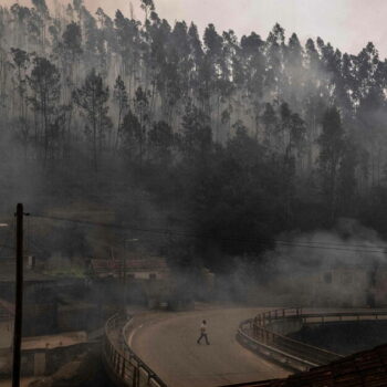 Le Portugal en proie à des feux de forêts : 7 morts et l’aide européenne sollicitée