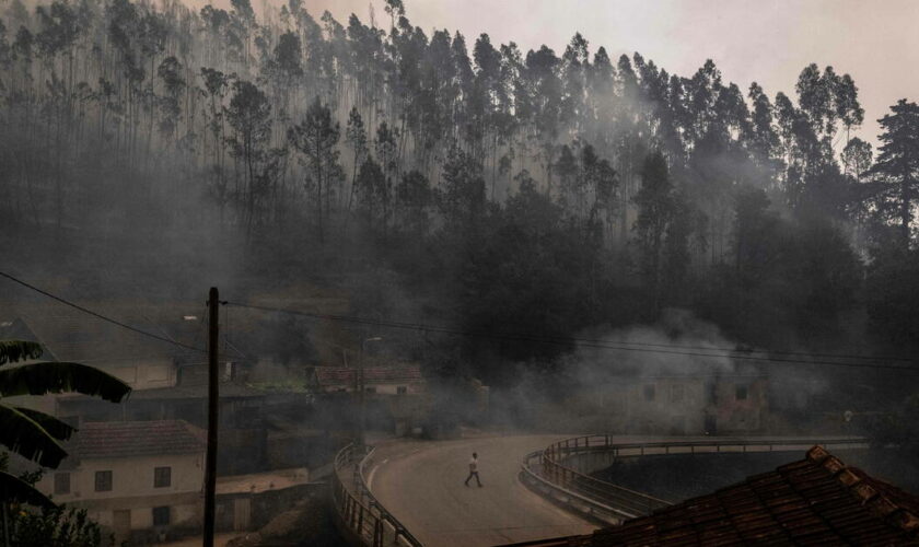 Le Portugal en proie à des feux de forêts : 7 morts et l’aide européenne sollicitée