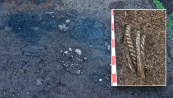 1,000-year-old Viking treasure found hidden in dirt: 'Unique finding'