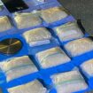 Drugs seized by Australian police. Pic: AP