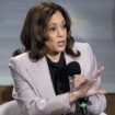 Newt Gingrich sounds off on Kamala Harris' 'word salad' interviews, 'insane' position on Israel-Hamas