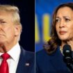 Harris and Trump deadlocked in Pennsylvania as former president trails in other 'blue wall' states: poll