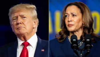 Harris and Trump deadlocked in Pennsylvania as former president trails in other 'blue wall' states: poll