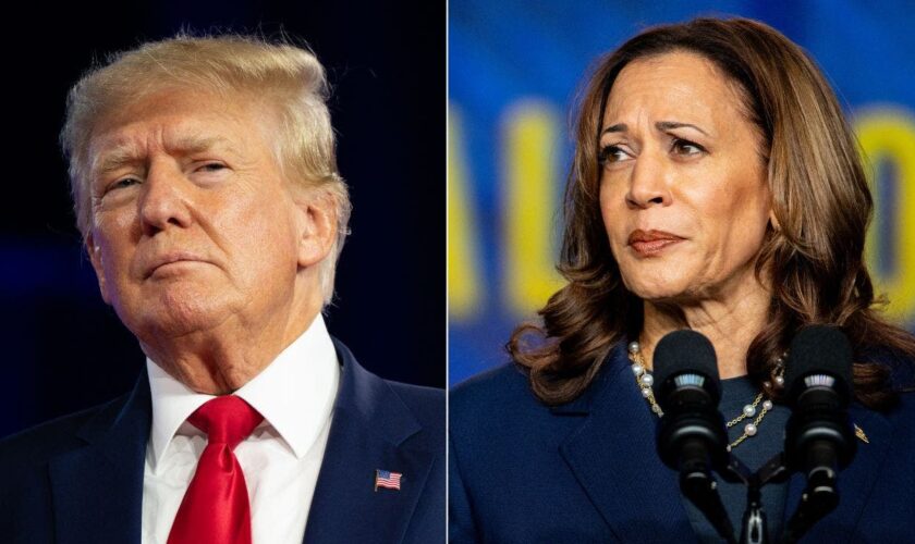 Harris and Trump deadlocked in Pennsylvania as former president trails in other 'blue wall' states: poll