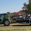 Wisconsin field trip children, adults injured in tractor and wagon accident at apple orchard