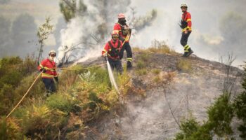 Incendies au Portugal : les fumées vont arriver jusqu’en France et en Espagne, explique Copernicus