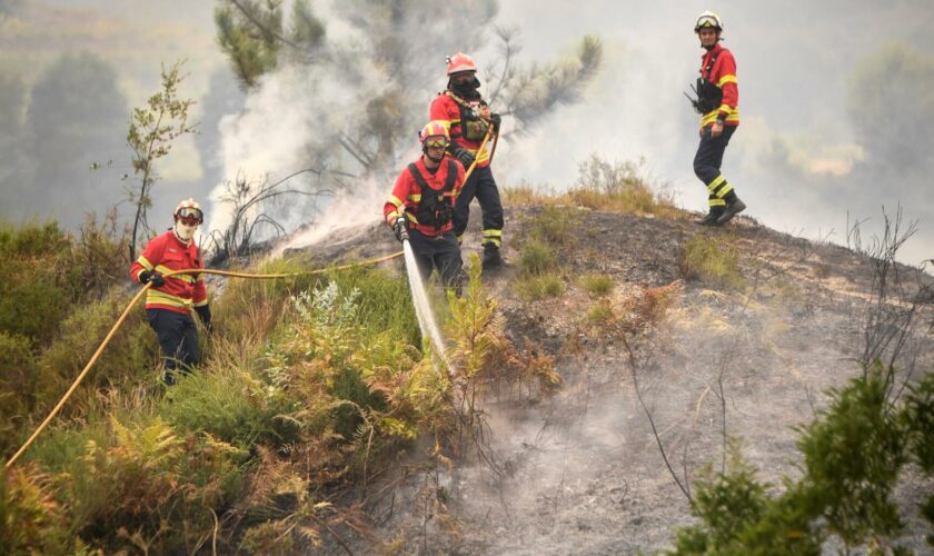 Incendies au Portugal : les fumées vont arriver jusqu’en France et en Espagne, explique Copernicus