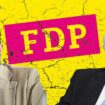 Die Grenzpolitik des Justizministers – und das Aufbegehren in der FDP