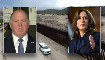 Trump’s former ICE chief turns the tables on Harris' 'border hawk' narrative