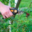 Les jardiniers le recommandent : il faut faire ces gestes dès maintenant pour avoir un beau jardin l'été prochain