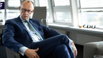 Merz im Interview: „Mit diesen Grünen geht es nicht“