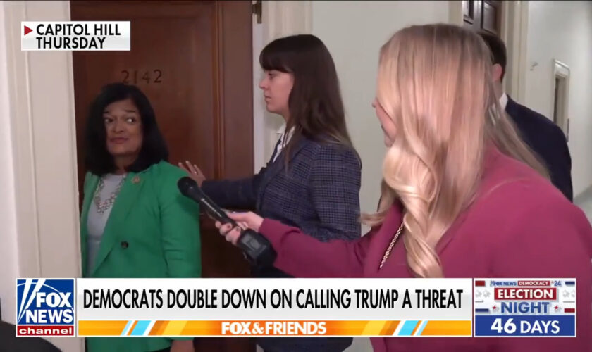 Democrats double down, say they will keep calling Trump a 'threat to democracy'