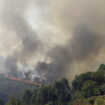 Portugal : les incendies enfin maîtrisés, avec pour bilan cinq morts et 100 000 hectares partis en fumée