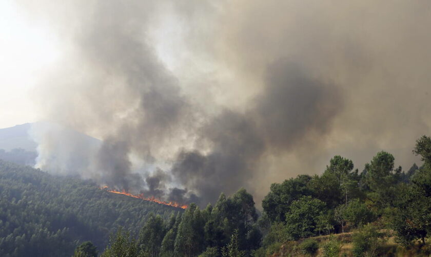 Portugal : les incendies enfin maîtrisés, avec pour bilan cinq morts et 100 000 hectares partis en fumée