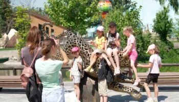 Mitten im Krieg lässt der Zoo von Charkiw Kinderherzen höher schlagen