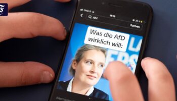 Vor der Wahl in Brandenburg: Auf Tiktok findet die AfD dich