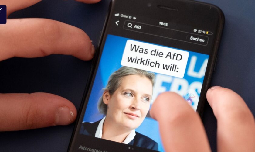 Vor der Wahl in Brandenburg: Auf Tiktok findet die AfD dich