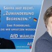 Das AfD-BSW-Missverständnis