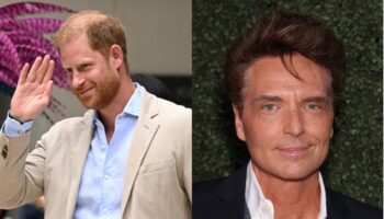 Singer Richard Marx accidentally ignores Prince Harry at Kevin Costner’s charity event