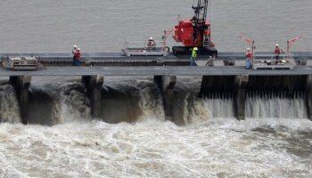 Judge dismisses lawsuit to protect dolphins along the Mississippi Gulf Coast after dozens were killed