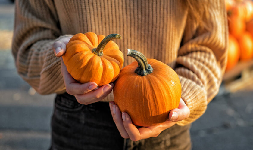 Halloween, Taylor Swift et « Gilmore Girls »… TikTok est fasciné par l’automne (et les marques aussi)