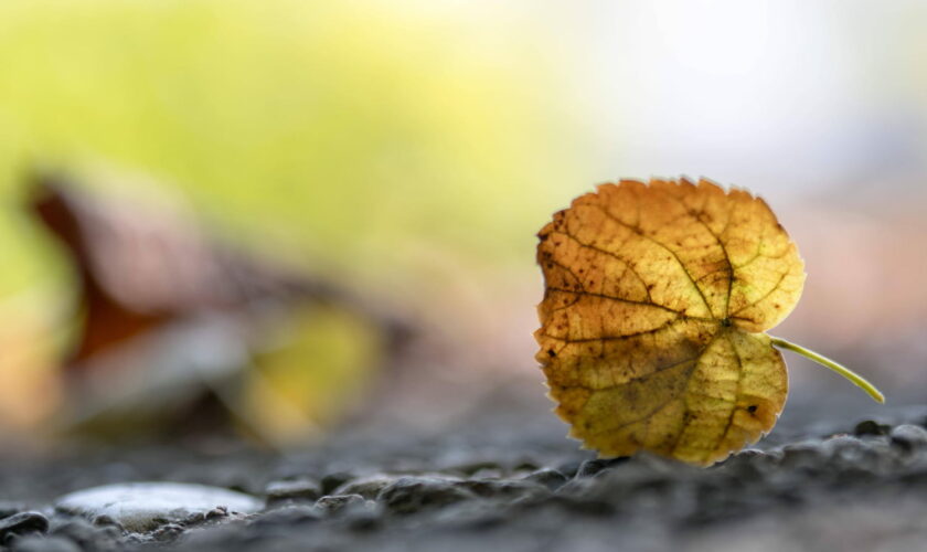 Equinoxe d'automne 2024 : quelles conséquences sur la météo ?