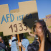 Percée de l’AfD en Allemagne : « Ce ne sont plus les Verts qui arrivent en tête chez les jeunes, mais l’extrême droite »