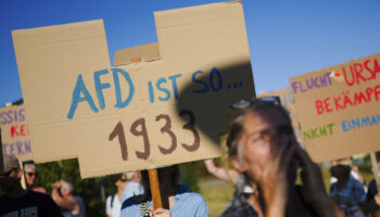 Percée de l’AfD en Allemagne : « Ce ne sont plus les Verts qui arrivent en tête chez les jeunes, mais l’extrême droite »