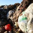 Plastikmüll: US-Bundesstaat verklagt Ölkonzern wegen Plastikverschmutzung