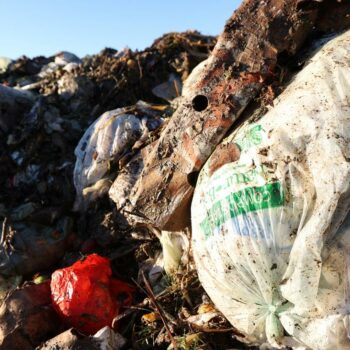 Plastikmüll: US-Bundesstaat verklagt Ölkonzern wegen Plastikverschmutzung