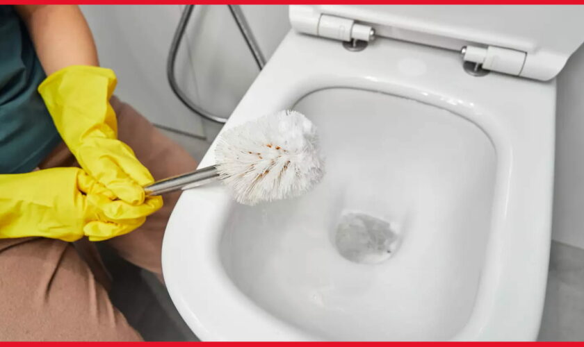 C'est de loin la meilleure méthode pour nettoyer la brosse des toilettes (sans avoir envie de vomir)